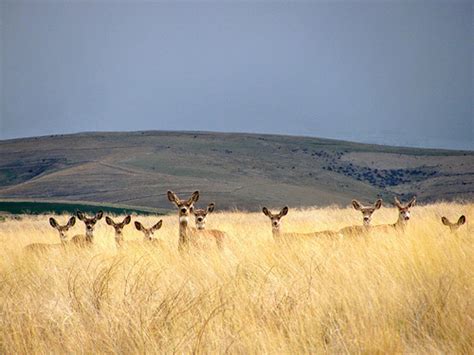 Morrow County Justice Court | Morrow County Oregon