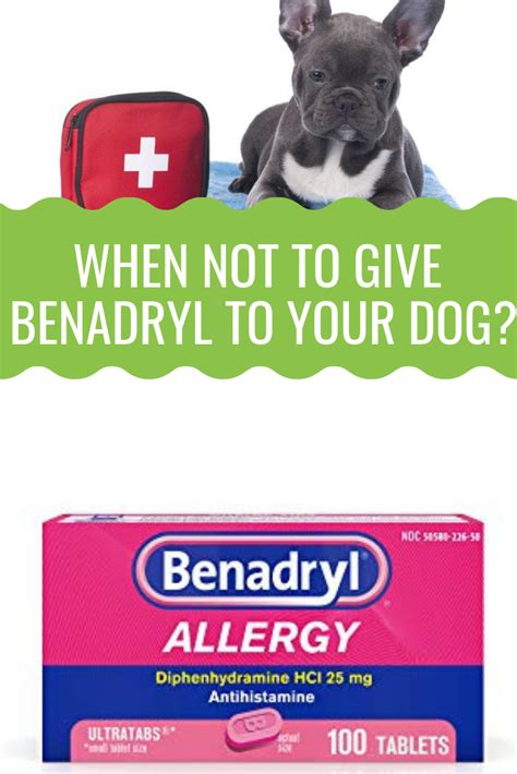 Can You Give Dogs Benadryl For Allergies