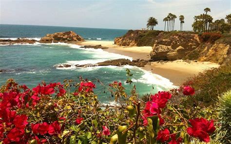 THE 15 BEST Things to Do in Newport Beach - UPDATED 2021 - Must See ...