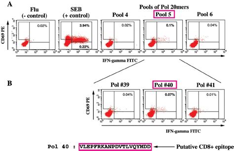 Example of CD8 ϩ T cell epitope mapping in an animal after the rMVA... | Download Scientific Diagram