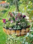 Stylish Durable Hanging Baskets - House Items - BIRMINGHAM - UK Buyer House Items classified ads ...