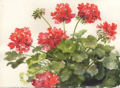 Susie Short's Watercolor Splashes & Splatters: Painting Geraniums - March 2009