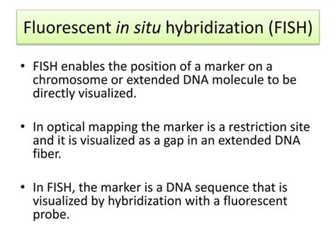 Gene mapping methods