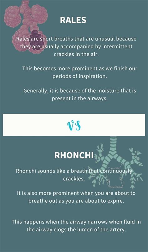 Difference Between Rales and Rhonchi