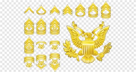 Military rank United States Army enlisted rank insignia, military ...