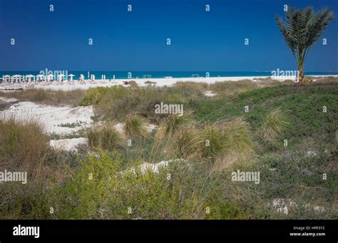 Saadiyat public beach,abu dhabi Stock Photo - Alamy