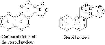 Lipids