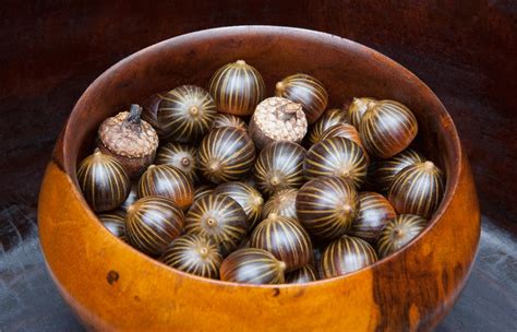 acorns 7920 | Pin oak acorns. They have beautiful stripes fo… | Flickr