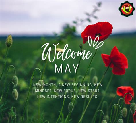 Welcome May! – Grateful Gnome