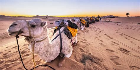 The Ultimate 10-Day Morocco Itinerary | 4 Starting Points + Maps (2023)