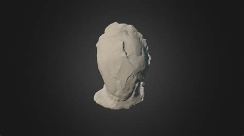 Sahelanthropus tchadensis - Download Free 3D model by geronimo0232 (@Human_Lineage) [92212fd ...