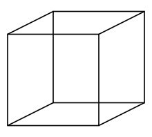 What a Tesseract (4D Cube) Looks Like. : interestingasfuck