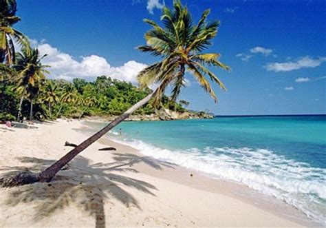 Samana | Beaches in the world, Dominican republic beaches, Puerto plata