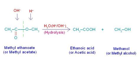 The Difference in the Chemistry of Hydrolysis & Hydration. | HubPages