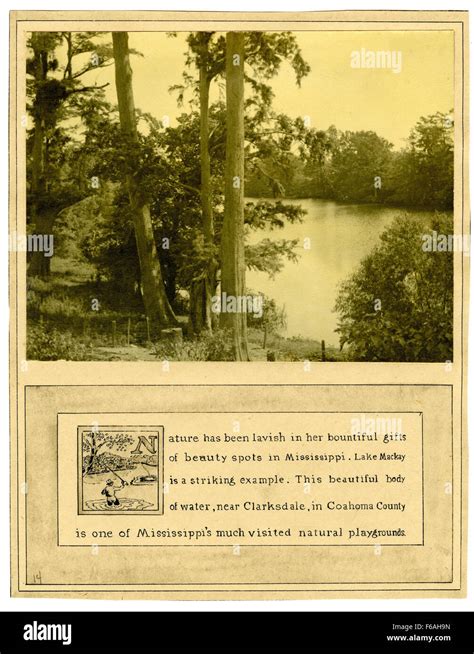 Pictorial History of Mississippi Trees Stock Photo - Alamy