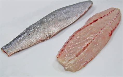 White Seabass | Santa Monica Seafood