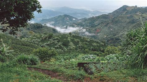 12 Photos of the Coffee Region That Show a Rarely Seen Side of Colombia