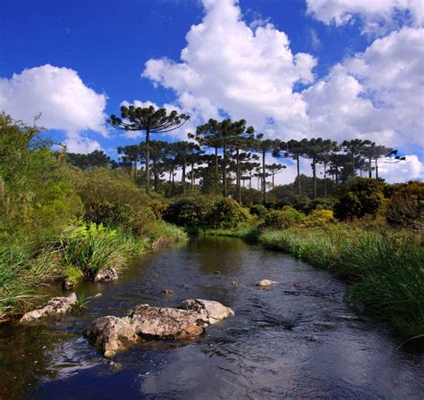 Aparados da Serra National Park (com imagens) | Parque nacional, Viagem brasil