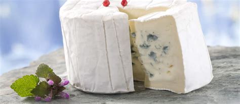 Bresse Bleu | Local Cheese From Saône-et-Loire, France