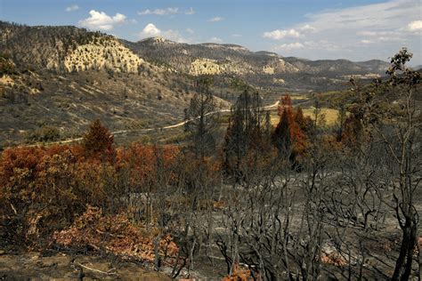 Colorado drought conditions drastically improve in nearly half the ...