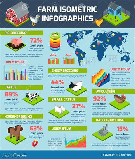 Domestic Cattle Breeding Farm Infographic Poster Stock Vector - Image ...