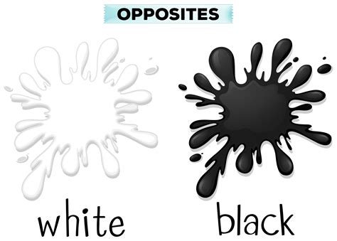 Opposite colors for white and black 292494 Vector Art at Vecteezy