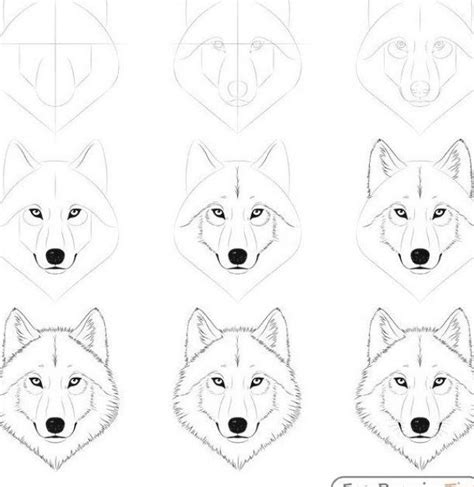 Step By Step How To Draw A Wolf Face at Drawing Tutorials