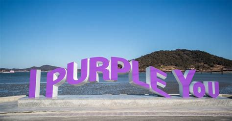 South Korea's Purple Island: Newest Tourist Attraction In Sinan County