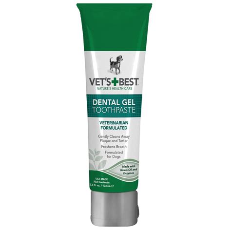 Best Toothpaste for Dogs Including Tips for Canine Oral Health
