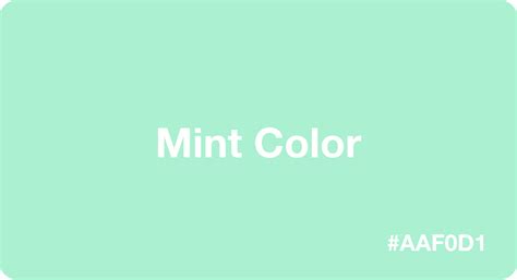 Mint Color: Best Practices, Color Codes, Palettes & More!