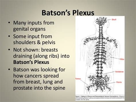 Anatomy of Alchemy