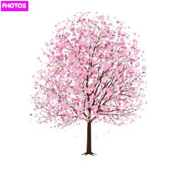 Cherry Blossom Tree Drawing | Cherry Blossom Tree