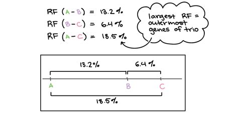 Calculating recombination frequency map units