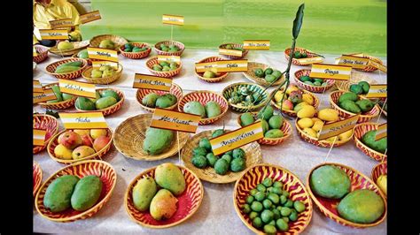 Mango Festival returns to Delhi after three years! | Latest News Delhi - Hindustan Times