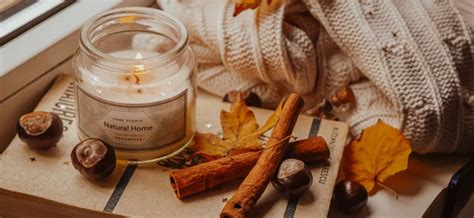 Vanilla Perfume: From a simple scent to a universal scent | Lareine