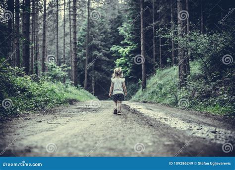 Little Girl Lost in Forest Walking Alone Stock Image - Image of activity, little: 109286249