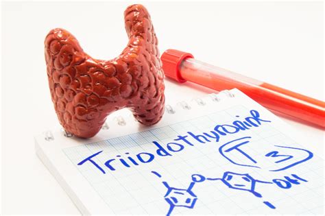 T3 is The Biologically Active Thyroid Hormone - Paul Robinson Thyroid