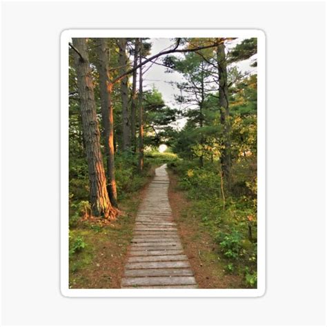 "Wisconsin State Park Walking Trail" Sticker for Sale by Graphxpro | Redbubble