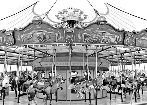 Lincoln Park Zoo Carousel Photograph by Mary Pille - Fine Art America