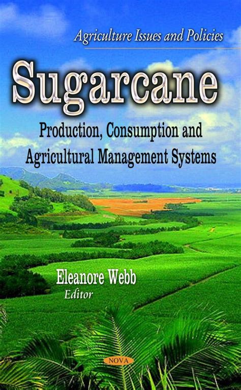 Sugar Cane Sugar Production | ubicaciondepersonas.cdmx.gob.mx