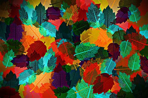 Abstract Autumn Leaves HD Wallpapers - Wallpaper Cave