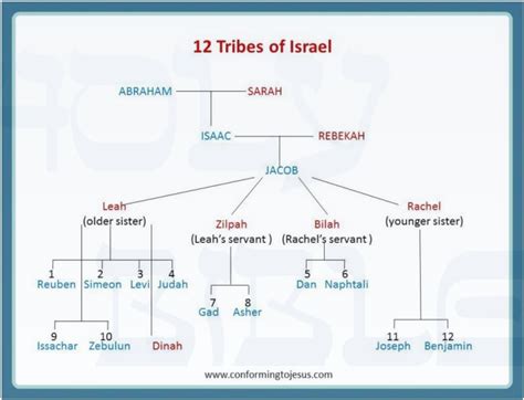 Lineage Of Moses And Aaron