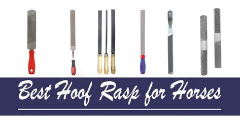 12 Hoof Rasp for Horses ideas in 2021 | hooves, horses, farrier