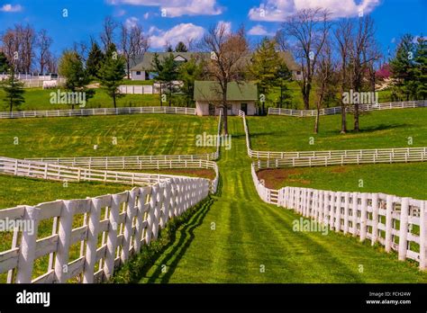 Darby Dan Farm (thoroughbred horse farm), Lexington, Kentucky USA Stock Photo: 93802601 - Alamy