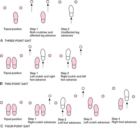 two, three & four point crutch gaits | Nursing school survival, Nursing notes, Nursing school ...