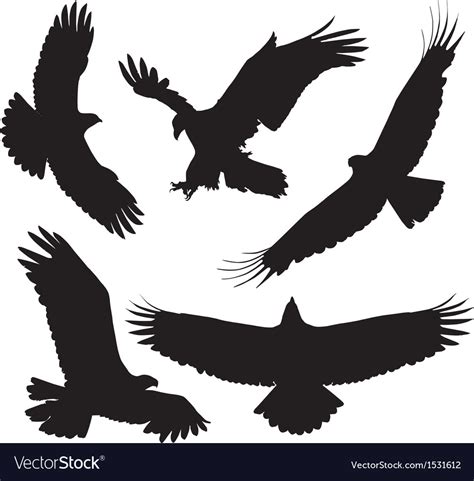 Eagle silhouette Royalty Free Vector Image - VectorStock