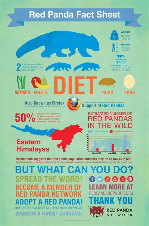 Red Panda Fact Sheet from Red Panda Network | Panda facts, Red panda, Panda habitat