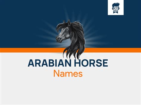 620+ Arabian Horse Names to Honor Their Royal Heritage! - BrandBoy