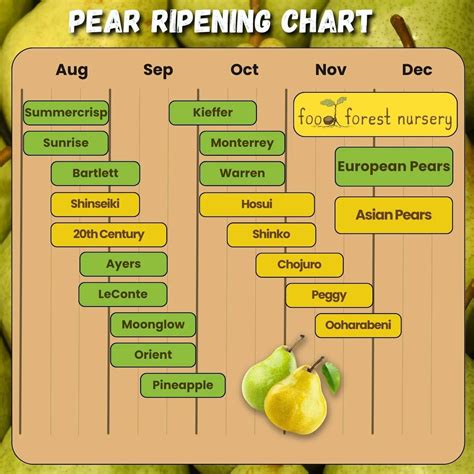 Pear Ripening Chart