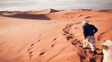 Cholistan Desert | Cholistan Desert Culture | Cholistan Desert Location